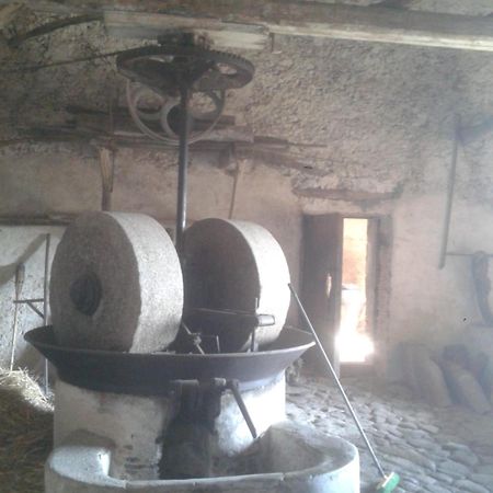 Agriturismo Frantoio Mafrica Limbadi Екстериор снимка