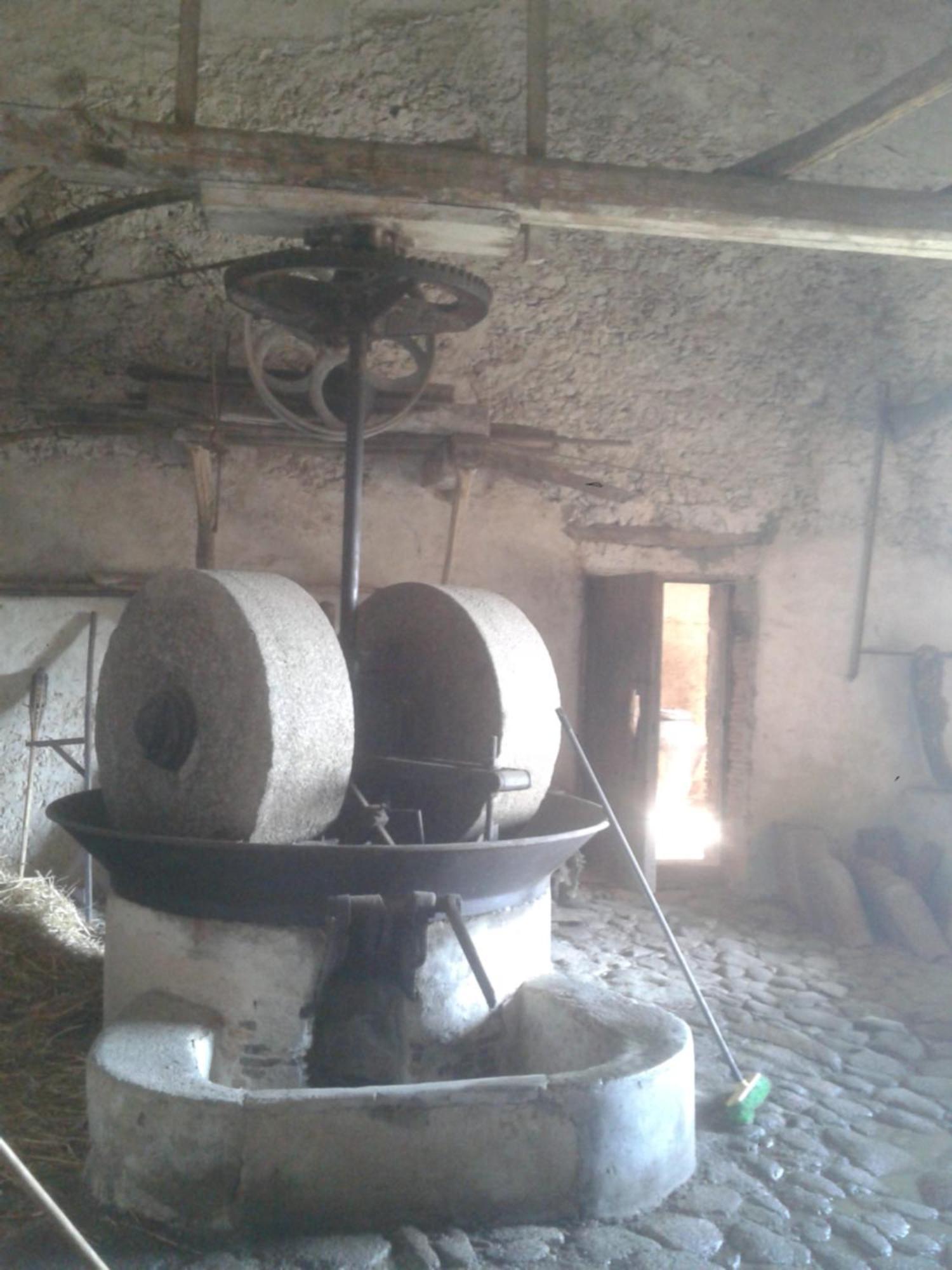 Agriturismo Frantoio Mafrica Limbadi Екстериор снимка