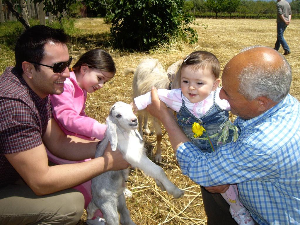 Agriturismo Frantoio Mafrica Limbadi Екстериор снимка