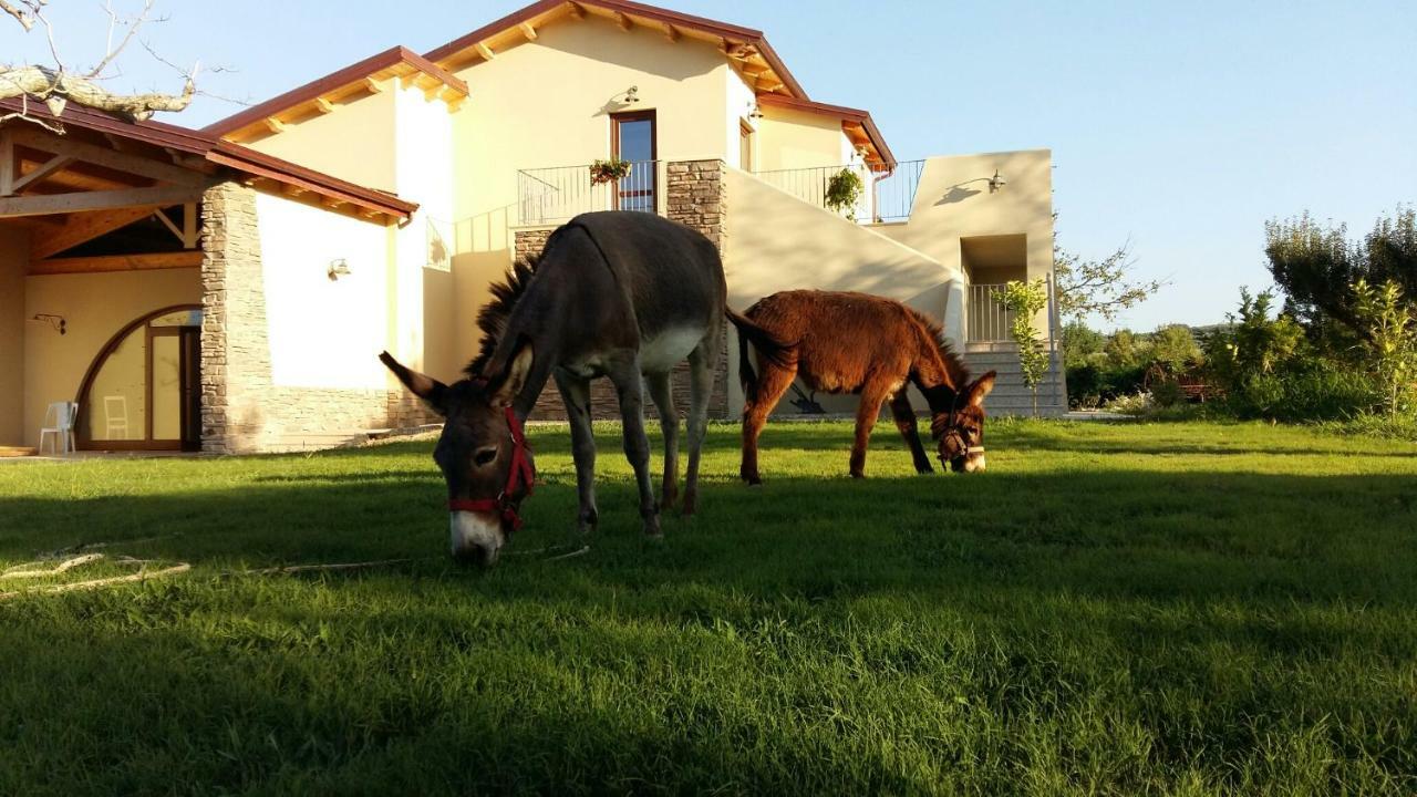 Agriturismo Frantoio Mafrica Limbadi Екстериор снимка
